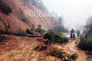 Khẩn trương khắc phục các điểm sạt lở trên Quốc lộ 4D (Lào Cai - Sa Pa)