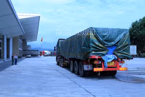 Nghi là hàng nhập lậu?