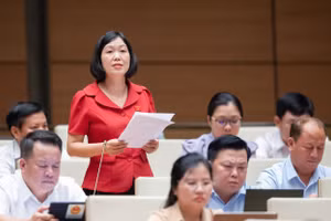 Đại biểu Nguyễn Thị Lan Anh: Đề nghị Chính phủ tăng hạn mức chi từ quỹ BHYT hỗ trợ đối với y tế cơ sở