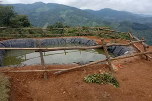 Xã Nậm Chạc: 3 trẻ em tử vong vì đuối nước