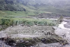 Yêu cầu các địa phương khẩn trương triển khai các biện pháp phòng ngừa, ứng phó với bão số 1