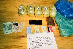 Bắt giữ đối tượng mua bán hơn 4kg thuốc phiện