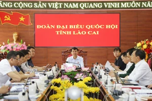 Đoàn đại biểu Quốc hội tỉnh Lào Cai tiếp tục tham gia phiên chất vấn và trả lời chất vấn