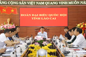 Đoàn đại biểu Quốc hội tỉnh Lào Cai tiếp tục tham gia phiên chất vấn và trả lời chất vấn