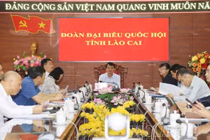 Đại biểu Nguyễn Thị Lan Anh nêu câu hỏi chất vấn liên quan đến lĩnh vực tài chính