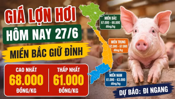 Giá lợn hơi hôm nay 27/6: Miền Bắc còn 4 nơi giữ đỉnh