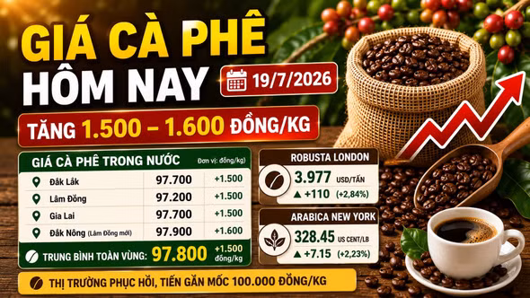 Giá cà phê hôm nay 19/7: Phục hồi, tiến gần 100.000 đồng/kg
