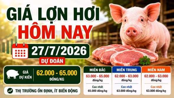 Giá lợn hơi hôm nay 27/7: Miền Bắc cao nhất 65.000 đồng/kg