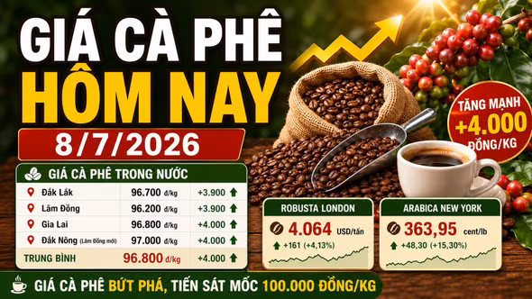 Giá cà phê hôm nay 8/7 tăng 4.000 đồng/kg, thị trường bứt phá mạnh