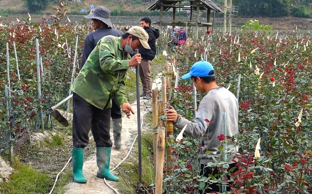 Nông thôn mới ở vùng đặc biệt khó khăn ảnh 1 Nông thôn mới ở vùng đặc biệt khó khăn ảnh 1