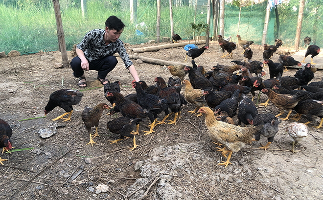 Năm đầu Yên Bái áp dụng chuẩn nghèo đa chiều mới: Tích cực và khả quan ảnh 1 Năm đầu Yên Bái áp dụng chuẩn nghèo đa chiều mới: Tích cực và khả quan ảnh 1