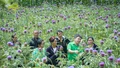 Nhà khoa học của nhà nông và hành trình đưa dược liệu bền vững đến với nông dân Lào Cai