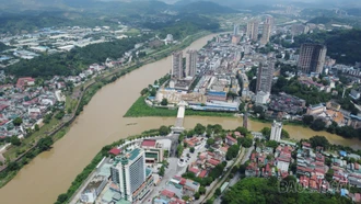 Tạo cơ sở pháp lý cho công tác thu hút đầu tư, thúc đẩy hoạt động giao thương quốc tế