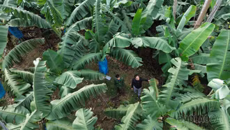 Xuân Hòa: Thay đổi tư duy sản xuất vùng đồng bào dân tộc thiểu số