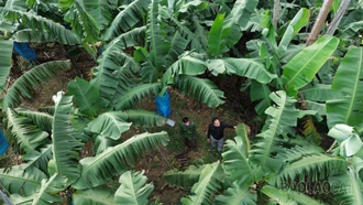 Xuân Hòa: Thay đổi tư duy sản xuất vùng đồng bào dân tộc thiểu số