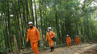 Vận hành an toàn lưới điện trong điều kiện thời tiết khắc nghiệt