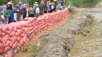 Văn Bàn: Chạy đua gia cố kè bảo vệ thôn Làng Chút trước bão số 11