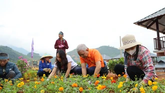 Những mầm xanh ở Làng Nủ