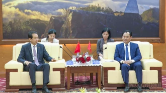 Bí thư Tỉnh ủy Trịnh Việt Hùng tiếp và làm việc với Đoàn công tác Đại sứ quán Trung Quốc tại Việt Nam