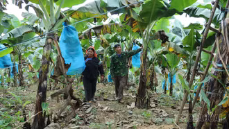 Những mô hình kinh tế làm thay đổi diện mạo Bản Mo