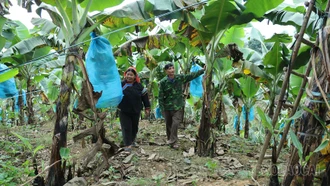 Những mô hình kinh tế làm thay đổi diện mạo Bản Mo