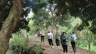 Thực hiện kiểm đếm giải phóng mặt bằng giai đoạn 2 Dự án Cảng hàng không Sa Pa