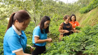 Nhân rộng những mô hình kinh tế do phụ nữ làm chủ ở Na Hối