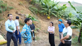 Bảo Yên phát huy hiệu quả mọi nguồn lực để phát triển nhanh, bền vững