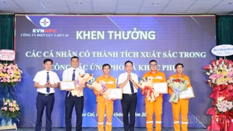 Công ty Điện lực Lào Cai khen thưởng các tập thể, cá nhân có thành tích xuất sắc trong ứng phó, khắc phục hậu quả mưa lũ