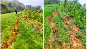 Bảo Yên: Xuất hiện vết nứt trên núi, đe dọa các hộ dân