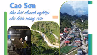 Cao Sơn thu hút doanh nghiệp chế biến nông sản