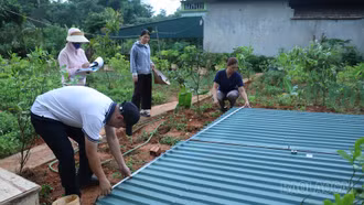 Thành phố Lào Cai thống kê, kiểm đếm xong 163 hộ phục vụ giải phóng mặt bằng Dự án đường sắt Lào Cai - Hà Nội - Hải Phòng