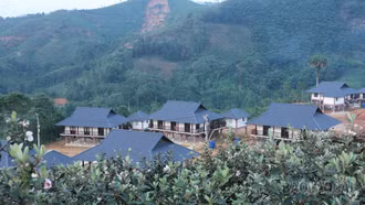 [Ảnh] Mùa hoa sim ở Làng Nủ