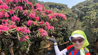 Hành trình chinh phục Putaleng và lời hẹn với hoa đỗ quyên