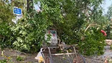 Nữ công nhân môi trường quên mình cứu người trong dông lốc