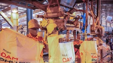 Tìm giải pháp ổn định thị trường phân bón trong nước