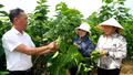 Học Bác từ những việc làm cụ thể