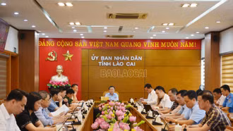 Tai nạn giao thông giảm mạnh trong quý I năm 2025 
