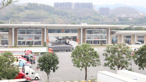 Lào Cai: Thu ngân sách 2 tháng đầu năm 2026 đạt hơn 3.338 tỷ đồng