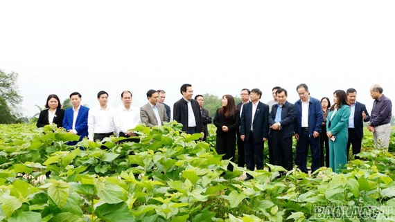 Khảo sát mô hình “Xã xã hội chủ nghĩa” tại xã Trấn Yên