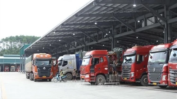 Thủ tướng chỉ đạo tháo gỡ vướng mắc trong triển khai Nghị định về an toàn thực phẩm