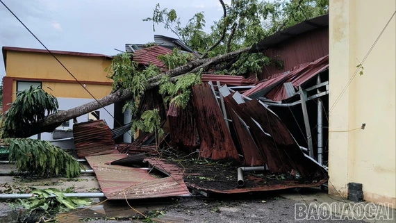 Dông lốc gây thiệt hại khoảng 5 tỷ đồng tại xã Thượng Bằng La 