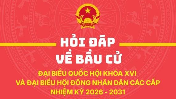 Vận động bầu cử và các hình thức được phép