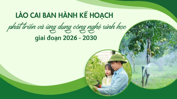 Lào Cai ban hành kế hoạch phát triển và ứng dụng công nghệ sinh học giai đoạn 2026 - 2030