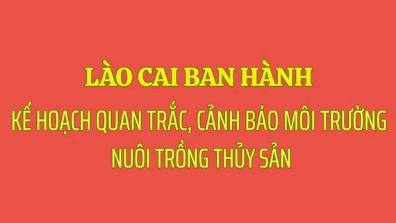 Lào Cai ban hành Kế hoạch quan trắc, cảnh báo môi trường nuôi trồng thủy sản năm 2026 và giai đoạn 2026 - 2030