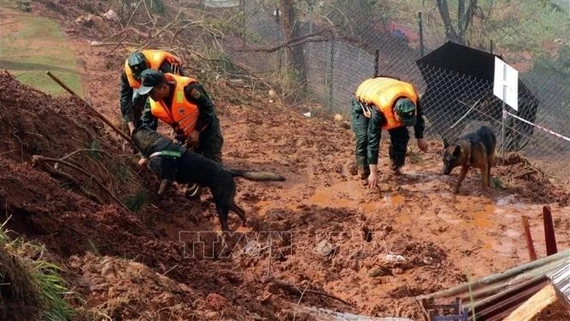 Chủ động ứng phó các tình huống thiên tai trong dịp Tết Nguyên đán