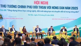 Gieo mầm khát vọng trên cánh đồng Việt