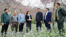 Đoàn công tác Ban Tổ chức Tỉnh ủy kiểm tra mô hình phát triển Đảng, kinh tế tại phường Trung Tâm