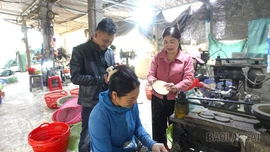 Nữ đảng viên làm kinh tế giỏi ở xã vùng cao Phúc Lợi