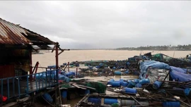 Mưa lũ miền Trung - Tây Nguyên: Thiệt hại trên 1.300 ha thủy sản